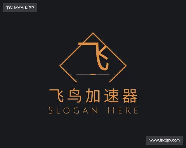 了解飞鸟加速器